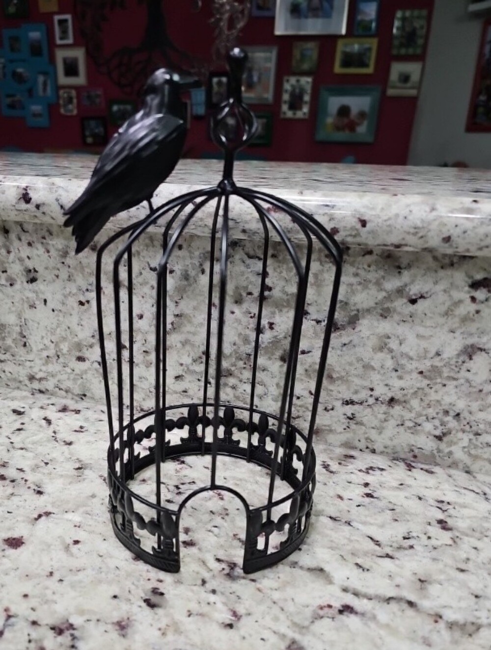 SCENTSY WARMER WRAP "NEVERMORE RAVEN"